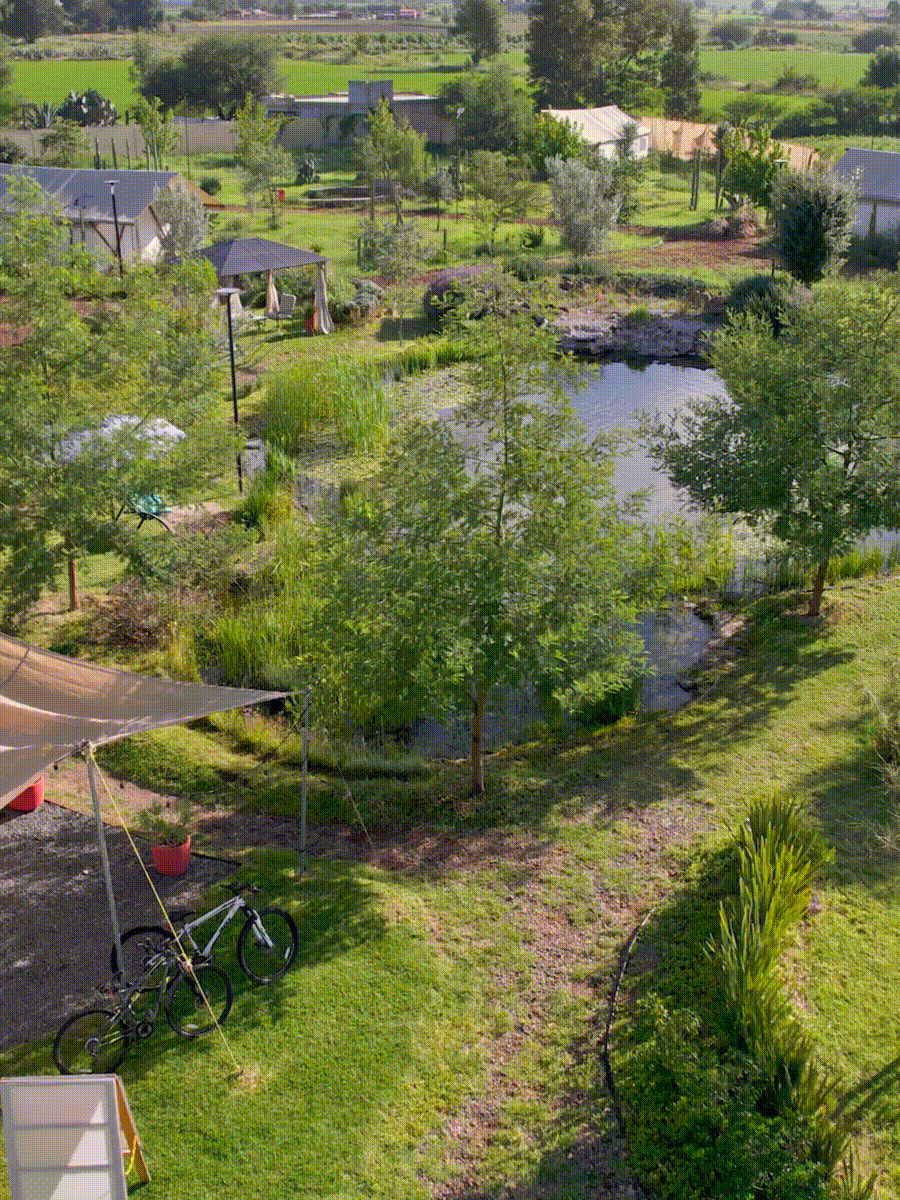 Salterra Glamping